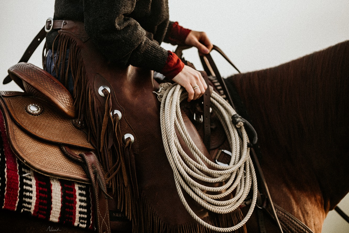 pferdefotografie hechingen - detail - western style