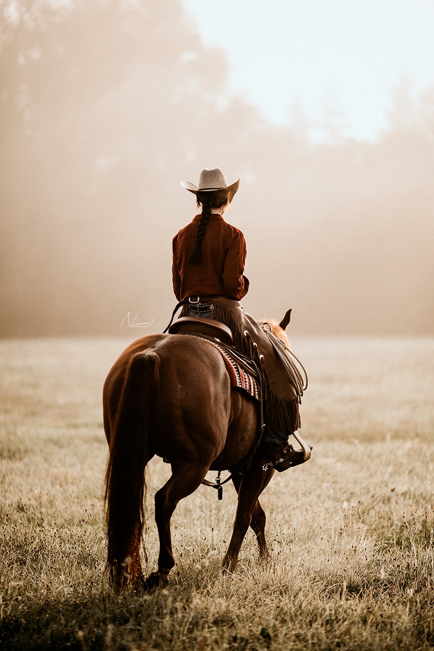 pferdefotografie hechingen - quarter horse - cowgirl