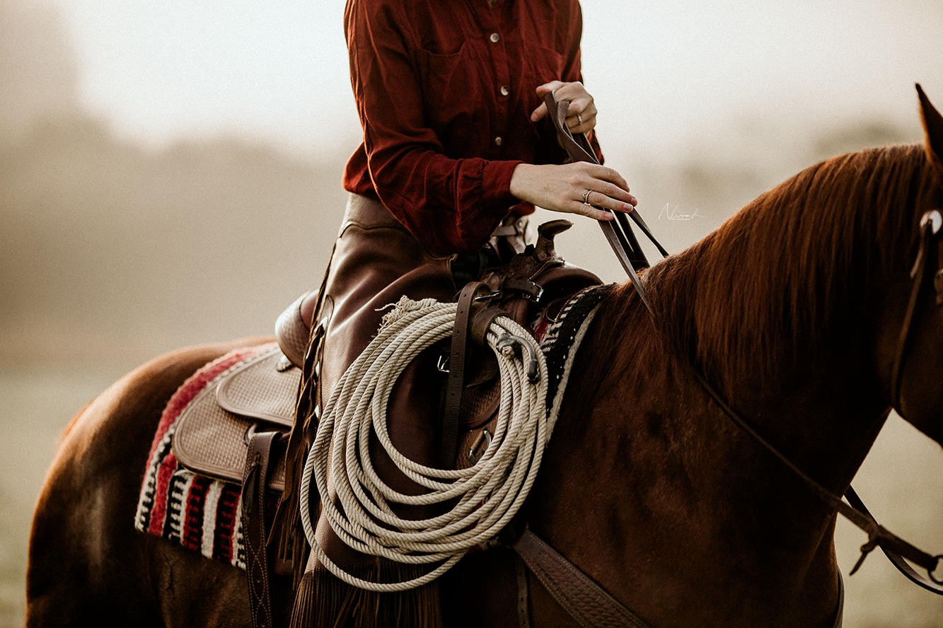 rope - Pferdefotografie Balingen - western style