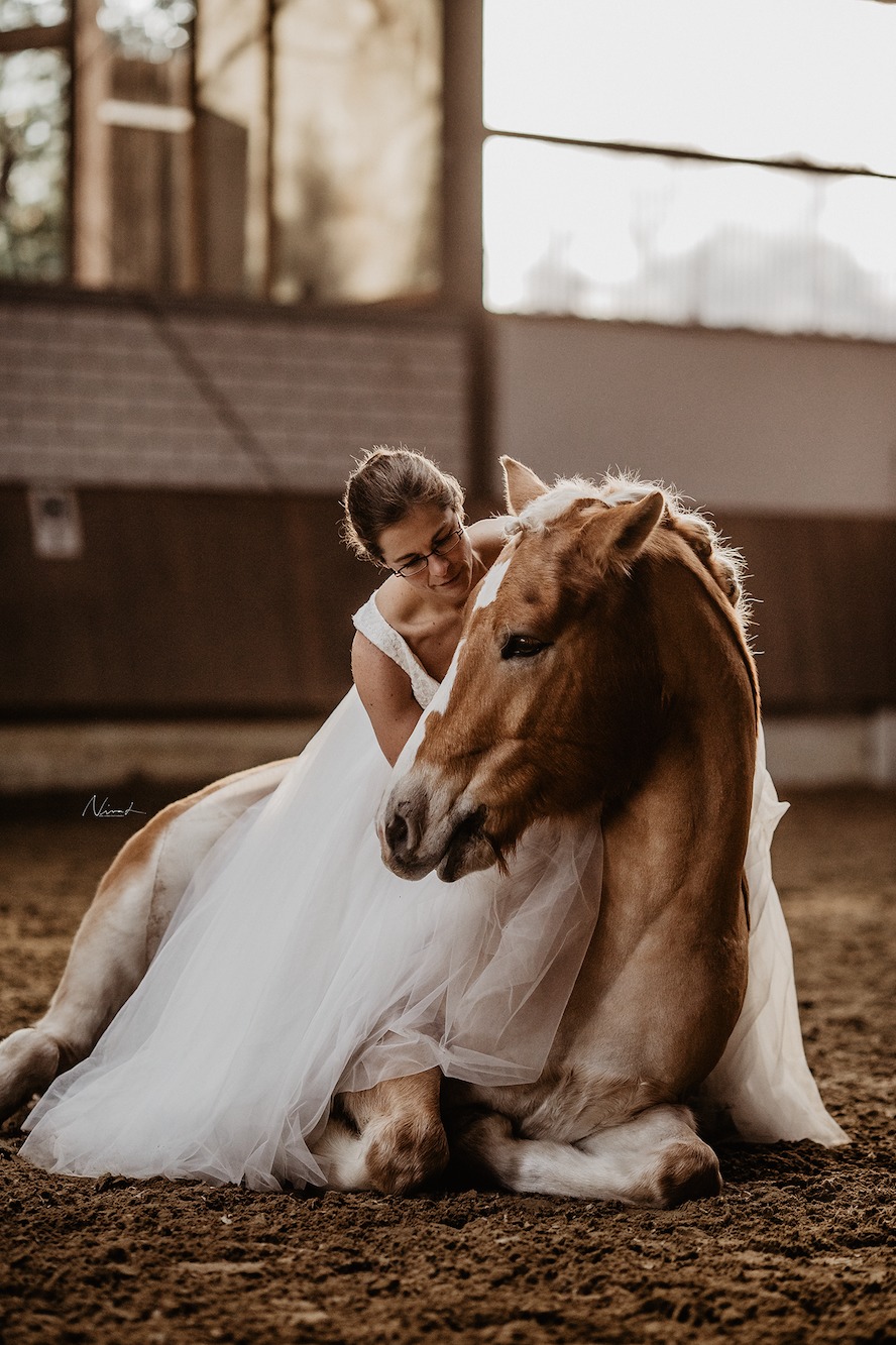 Brautkleid mit pferd - Bühlertalhof - Reithalle